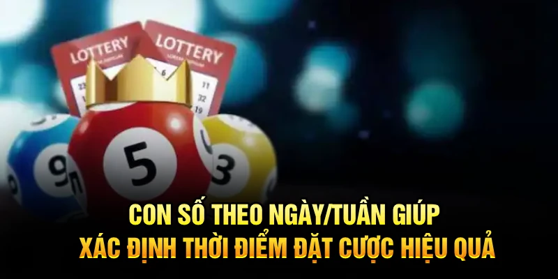 Con số theo ngày/tuần giúp xác định thời điểm đặt cược hiệu quả