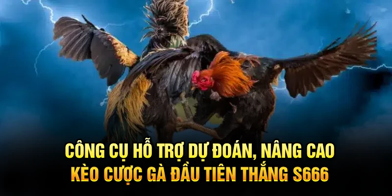 Công cụ hỗ trợ dự đoán, nâng cao kèo cược gà đầu tiên thắng S666