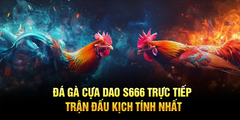 Đá Gà Cựa Dao S666 Trực Tiếp, Trận Đấu Kịch Tính Nhất