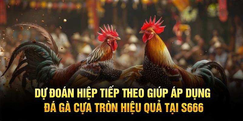 Dự đoán hiệp tiếp theo giúp áp dụng đá gà cựa tròn hiệu quả tại S666