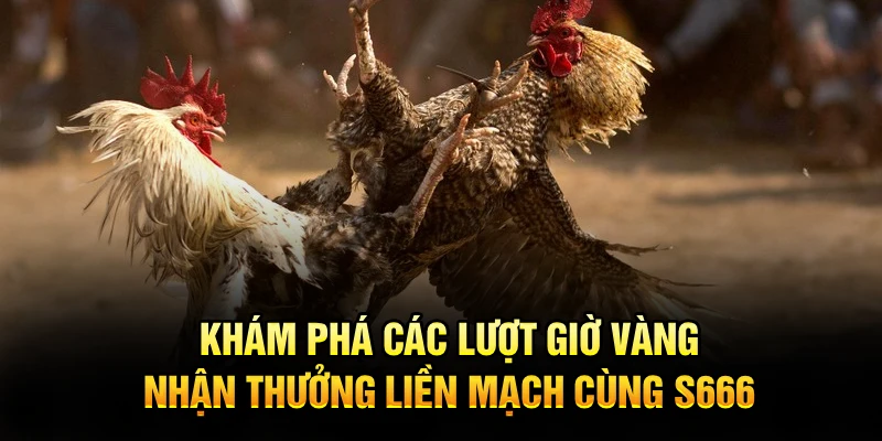 Khám phá các lượt giờ vàng, nhận thưởng liền mạch cùng S666