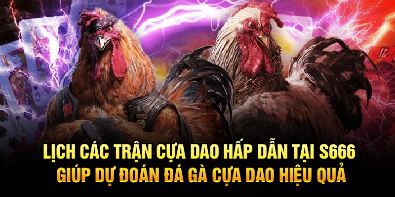 Lịch các trận cựa dao hấp dẫn tại S666 giúp dự đoán đá gà cựa dao hiệu quả