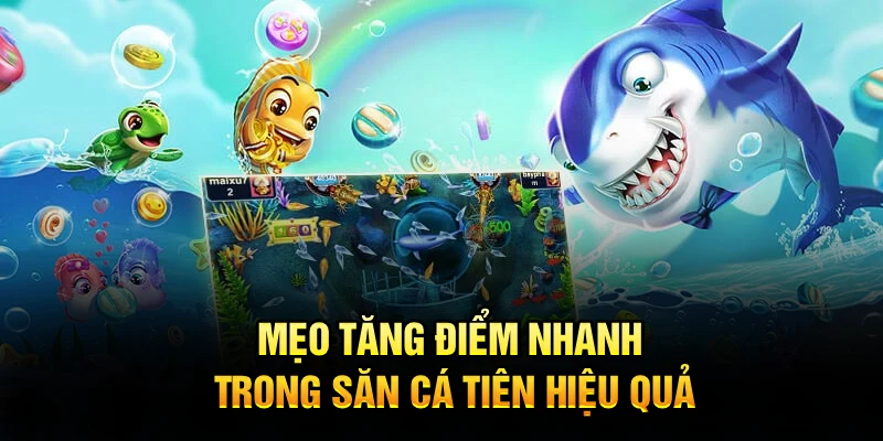 Mẹo tăng điểm nhanh trong săn cá Tiên hiệu quả