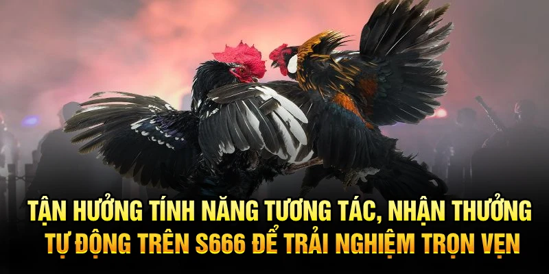 Tận hưởng tính năng tương tác, nhận thưởng tự động trên S666 để trải nghiệm trọn vẹn