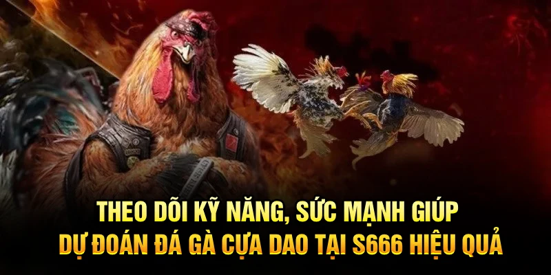 Theo dõi kỹ năng, sức mạnh giúp dự đoán đá gà cựa dao tại S666 hiệu quả