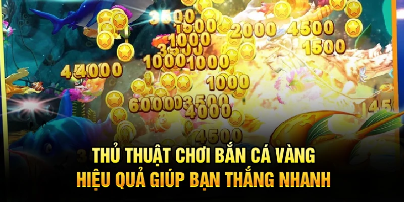 Thủ thuật chơi bắn cá Vàng hiệu quả giúp bạn thắng nhanh