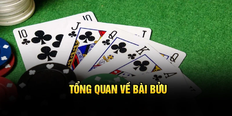 Tổng quan về bài Bửu